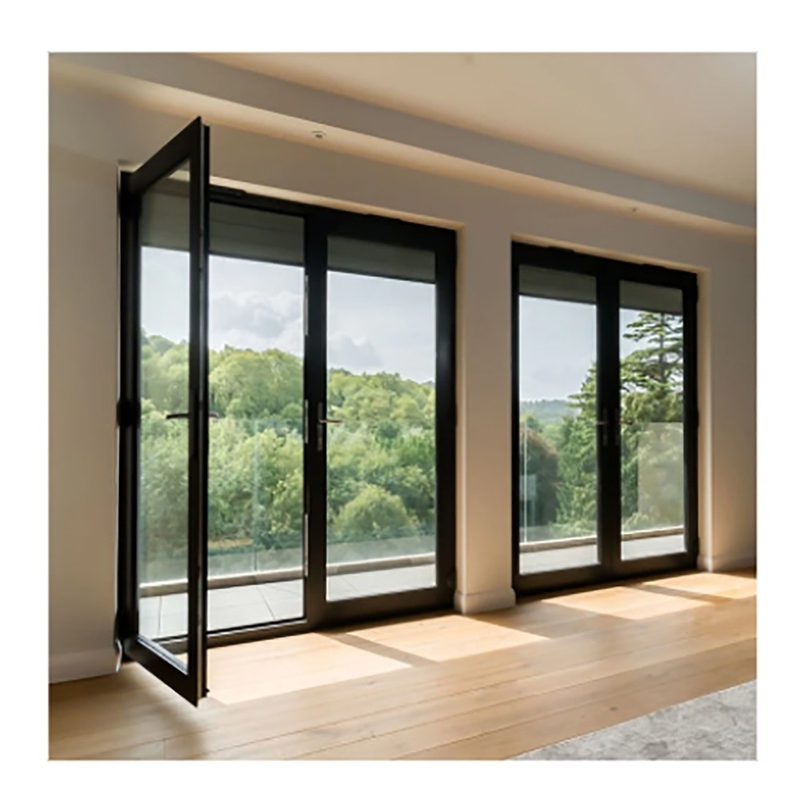 10 Sealing Layers Skate Exterior French Thermal Break Casement Doors with Aluminum Frame