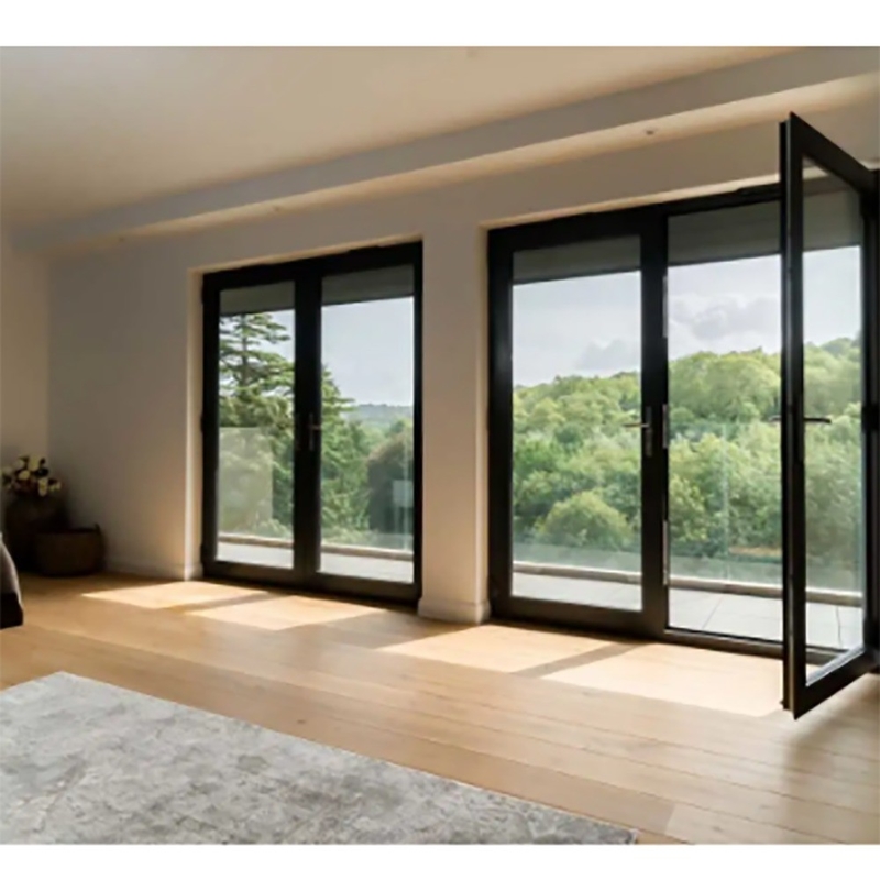 10 Sealing Layers Skate Exterior French Thermal Break Casement Doors with Aluminum Frame
