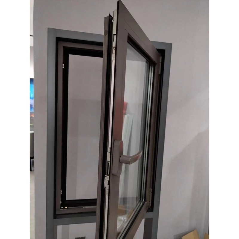 French Casement Glass Windows With 304 Stainless Steel Mesh And SKATE Original Hardware